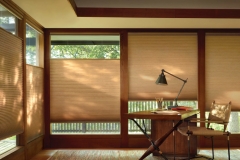 Hunter Douglas Architella Literise in Home Office