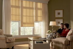 Roller Shades in Den