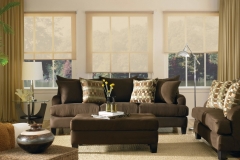 Roller Shades in Living Room