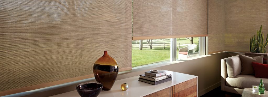 Commercial Motorized Window Shades